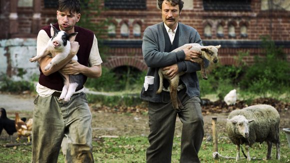 Photo du film Mænd & høns