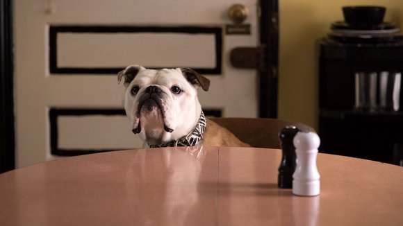 Photo from the movie Paterson