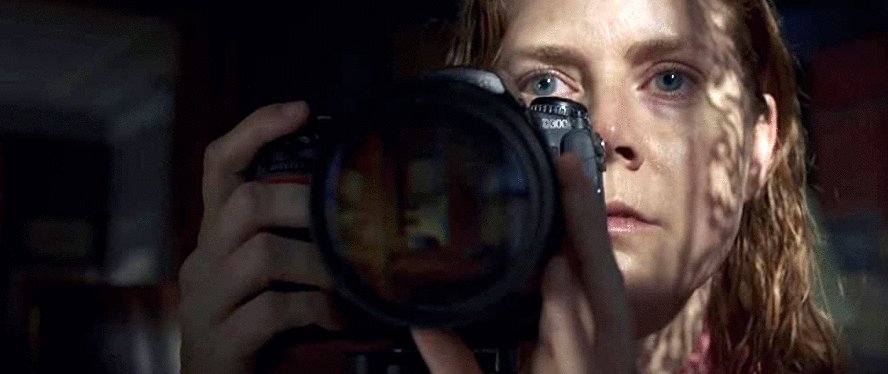 Photo du film The Woman in the Window