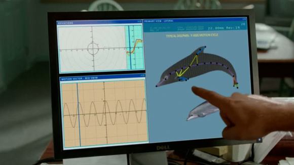 Photo from the movie Dolphin Tale 2