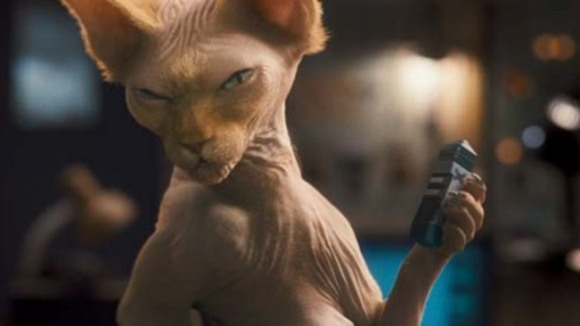 Photo du film Chats et chiens: La revanche de Kitty Galore