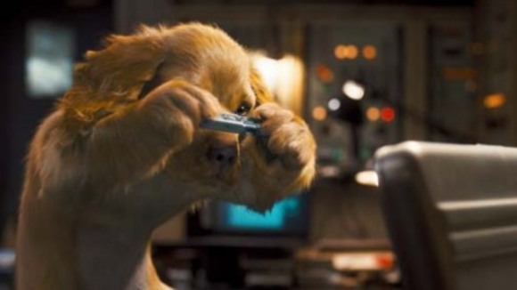 Photo du film Chats et chiens: La revanche de Kitty Galore