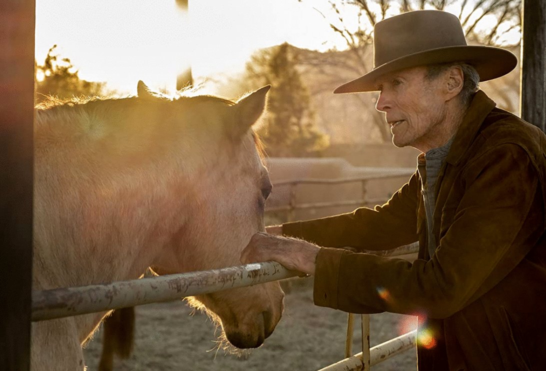 Photo du film Cry Macho