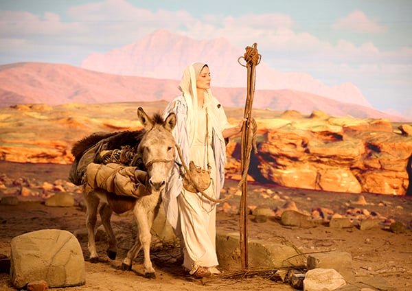 Photo du film I Am the Immaculate Conception [2024]