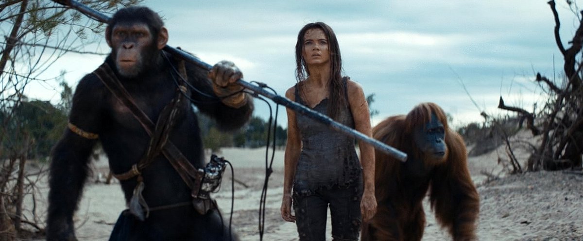 Photo du film Kingdom of the Planet of the Apes