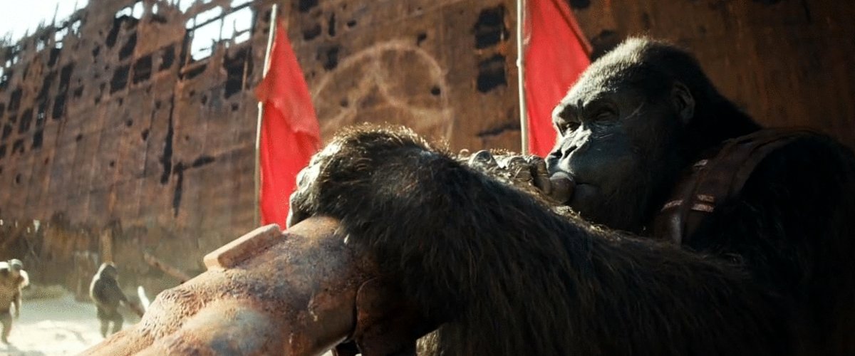 Photo du film Kingdom of the Planet of the Apes
