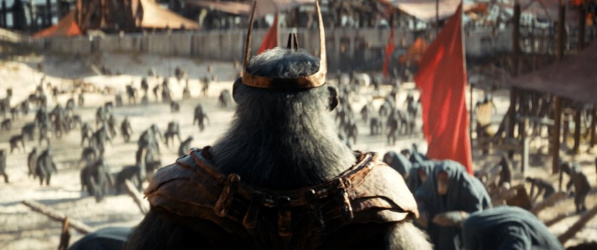 Photo du film Kingdom of the Planet of the Apes