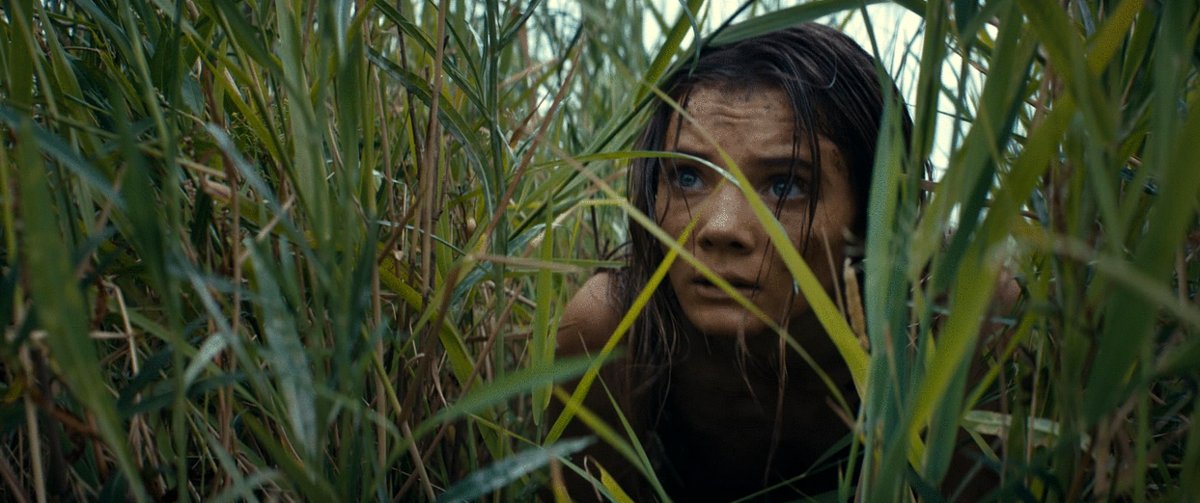 Photo du film Kingdom of the Planet of the Apes