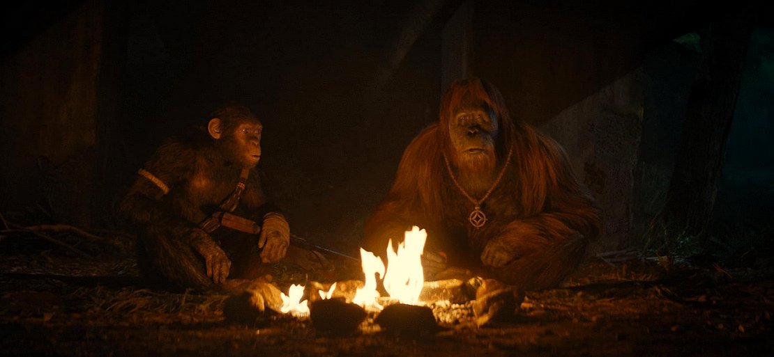 Photo du film Kingdom of the Planet of the Apes