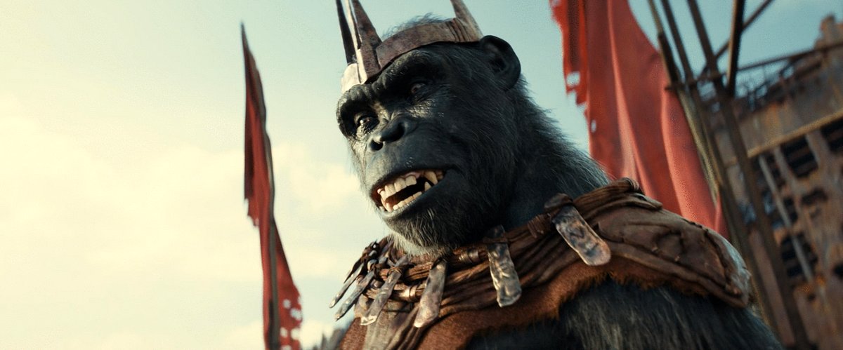 Photo du film Kingdom of the Planet of the Apes