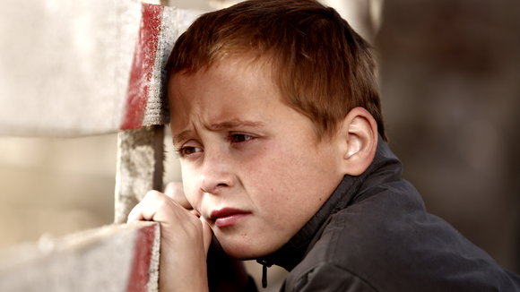 Photo du film The Search