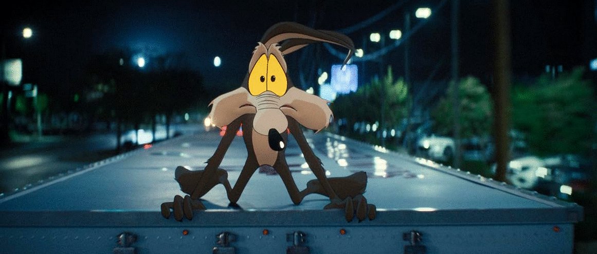 Photo du film Coyote vs. Acme