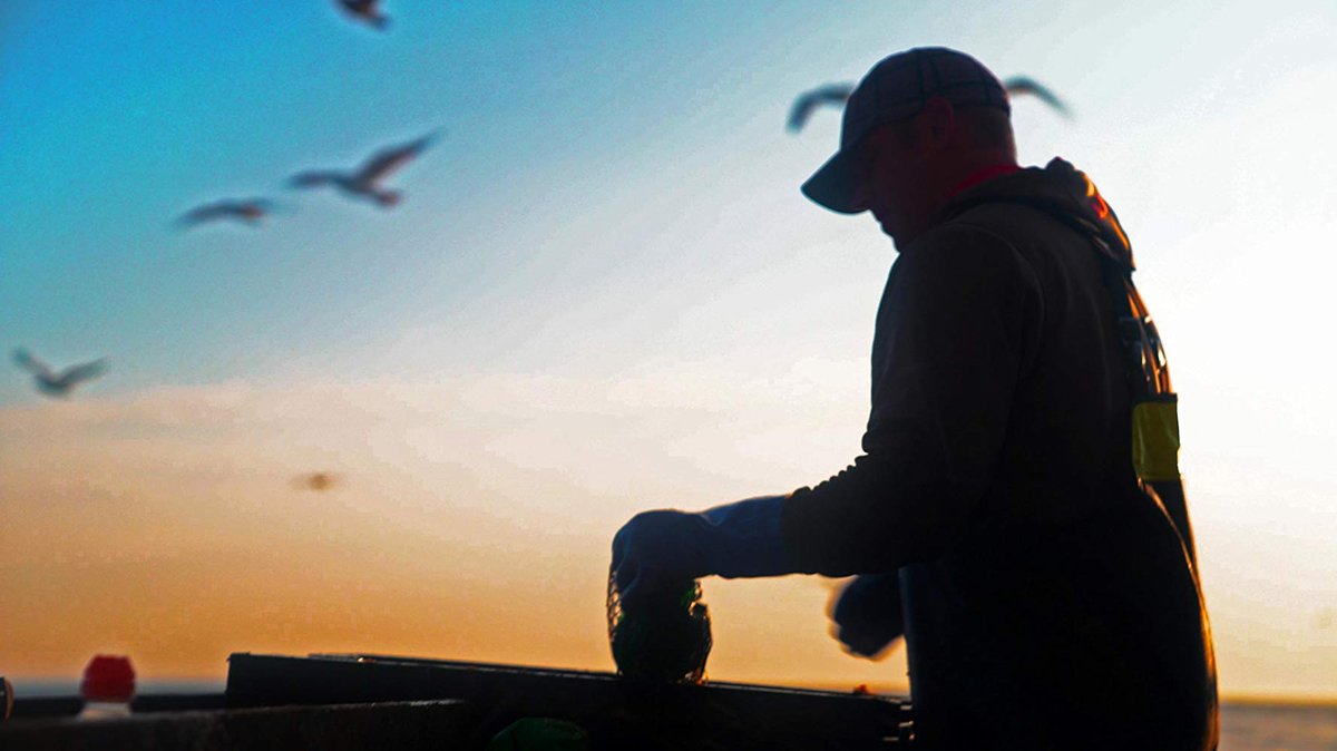Photo from the movie Lobster War: The Fight Over the World's Richest Fishing Grounds