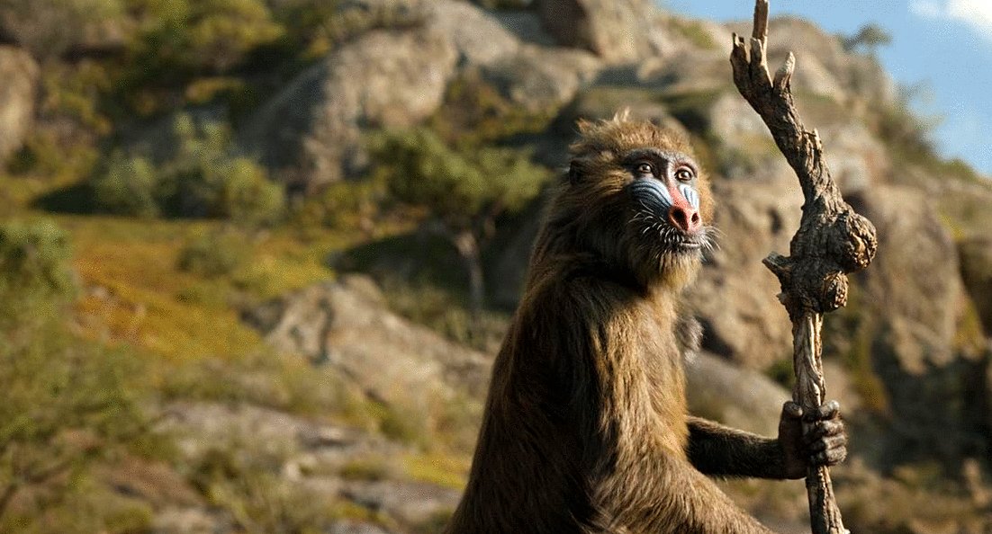 Photo du film Mufasa: The Lion King