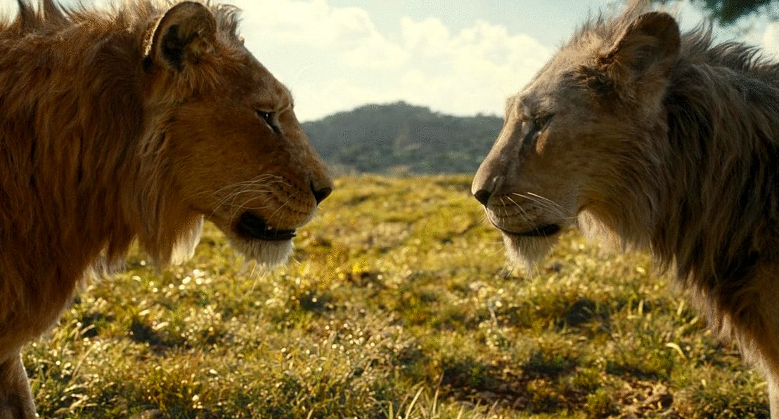 Photo du film Mufasa: The Lion King