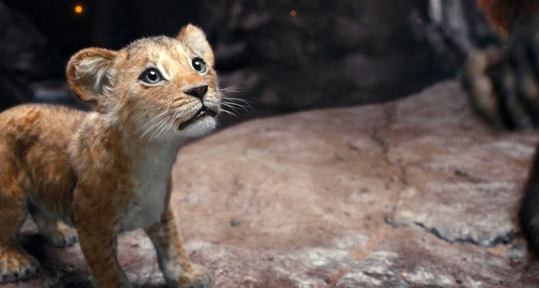 Photo du film Mufasa: The Lion King