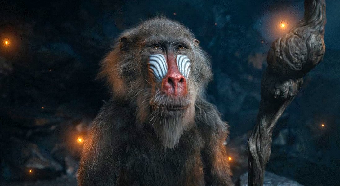 Photo du film Mufasa: The Lion King