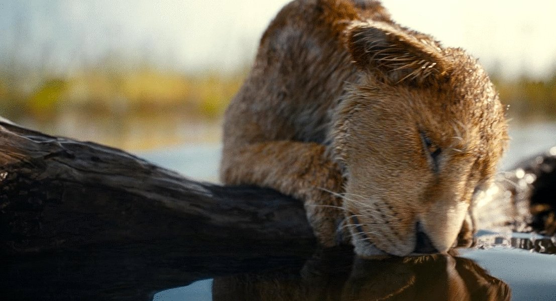 Photo du film Mufasa: The Lion King