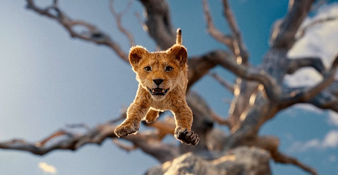 Photo du film Mufasa: The Lion King