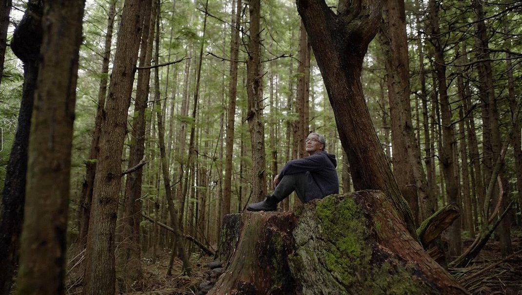 Photo du film Red Fever