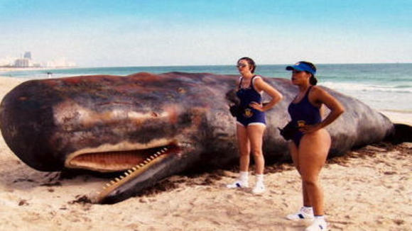 Photo du film L'Escouade Reno 911 à Miami