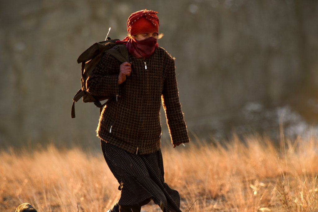 Photo du film Honeyland – Le Royaume des abeilles