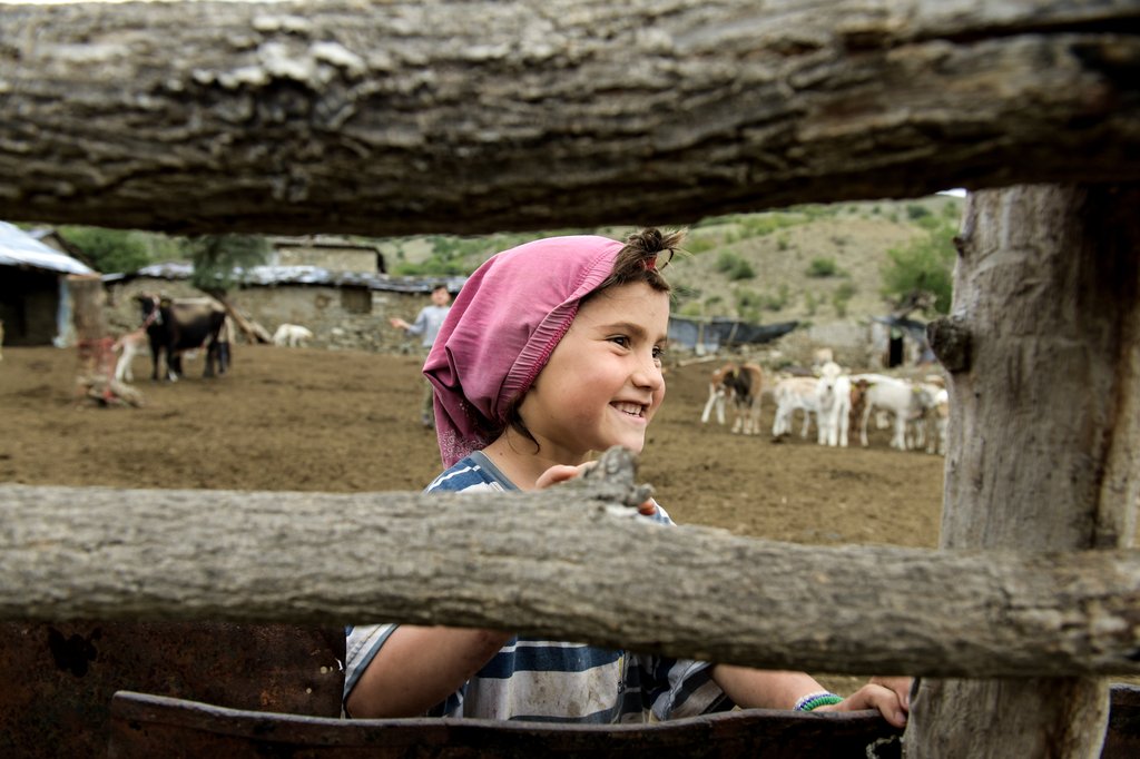 Photo du film Honeyland – Le Royaume des abeilles