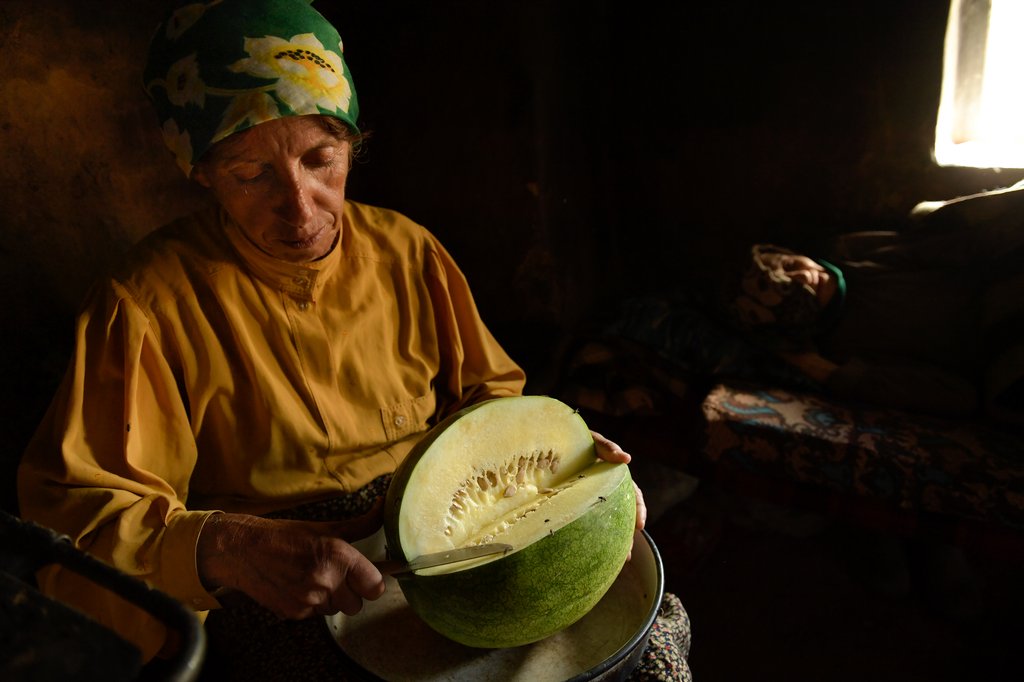Photo du film Honeyland – Le Royaume des abeilles