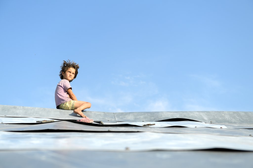 Photo du film Honeyland – Le Royaume des abeilles