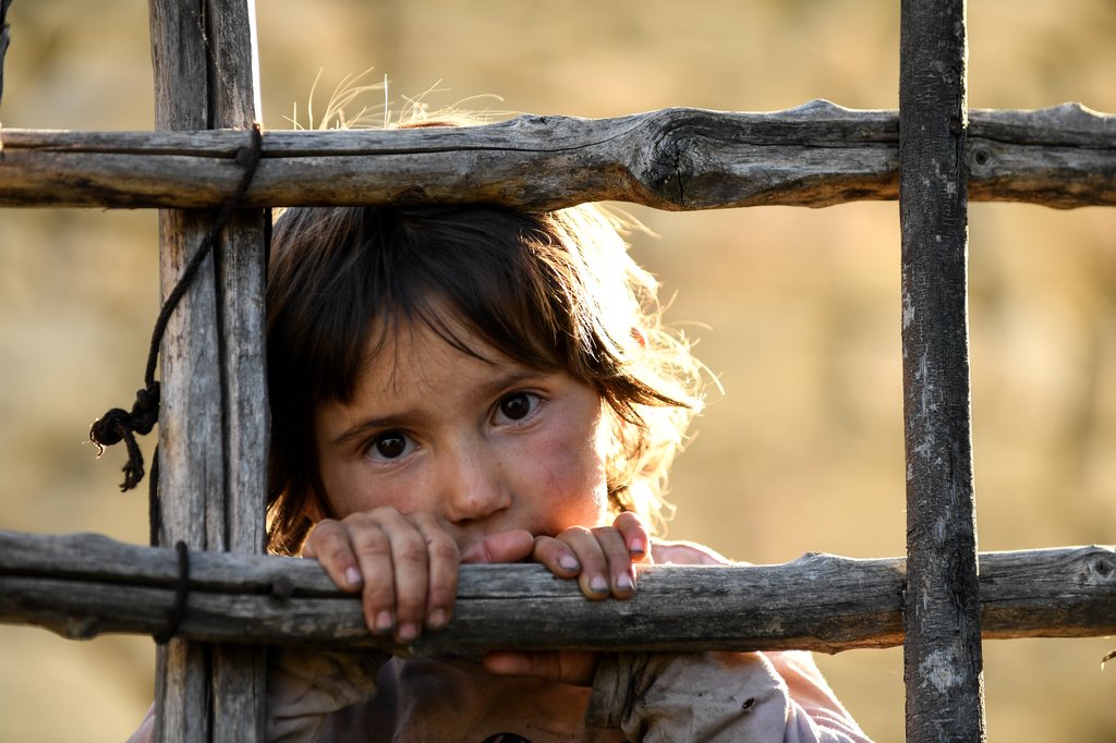 Photo du film Honeyland – Le Royaume des abeilles