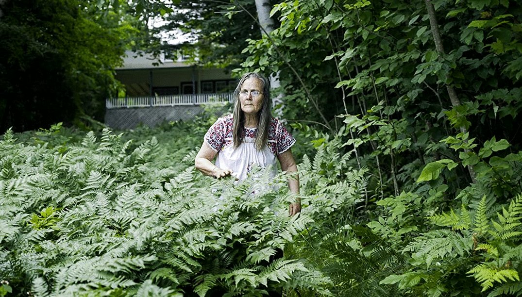 Photo from the movie Dear Audrey