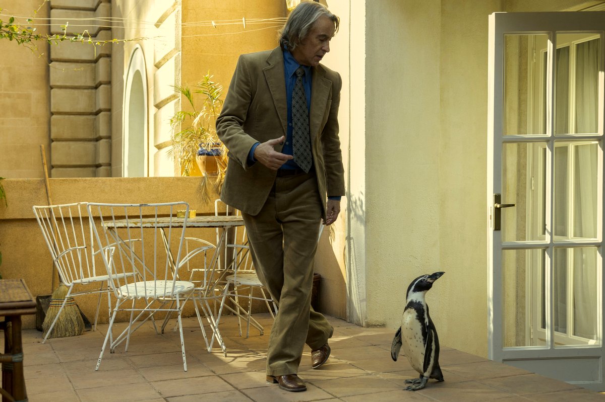 Photo du film The Penguin Lessons