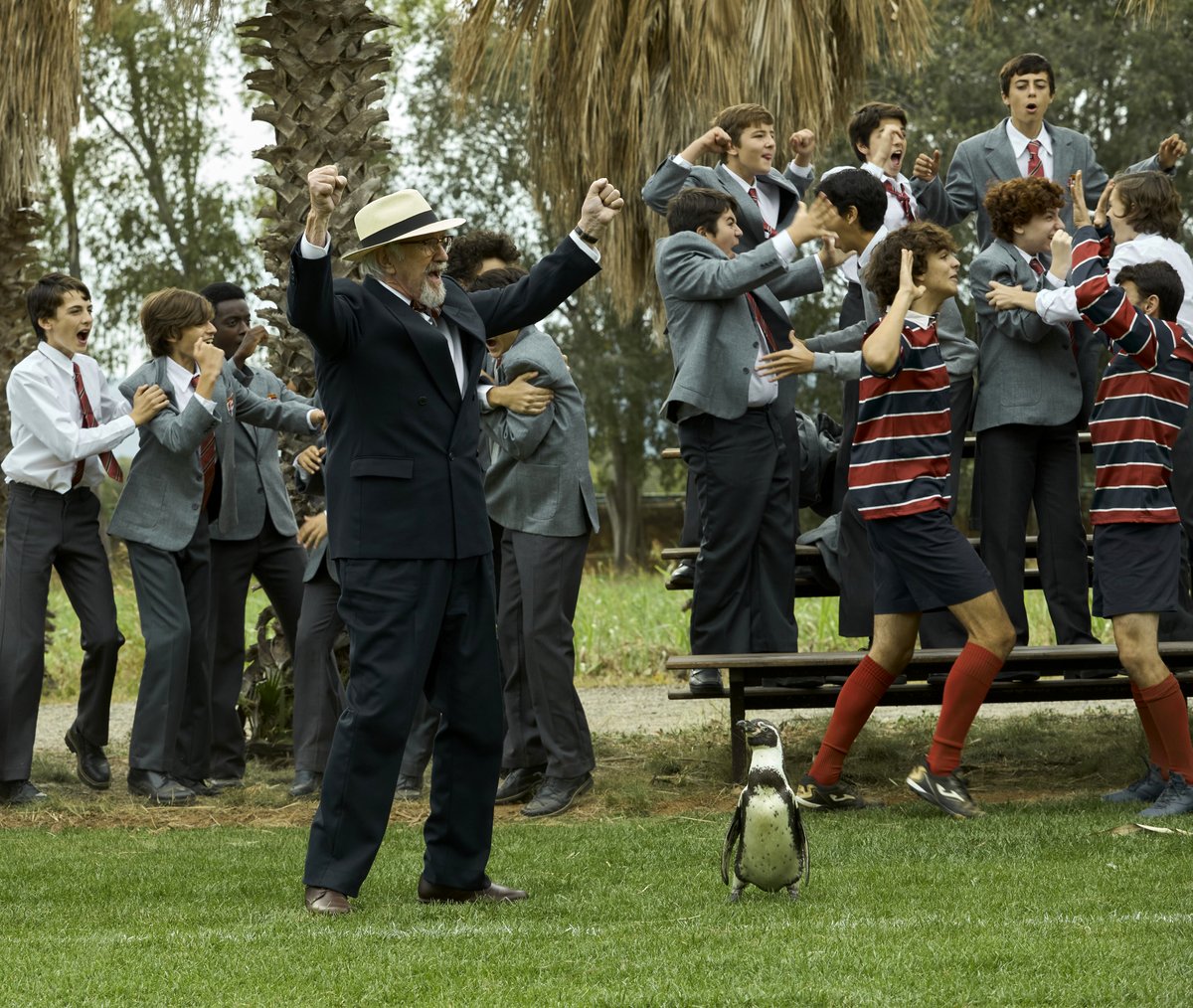 Photo du film The Penguin Lessons