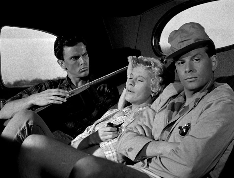 Photo du film Fraises sauvages