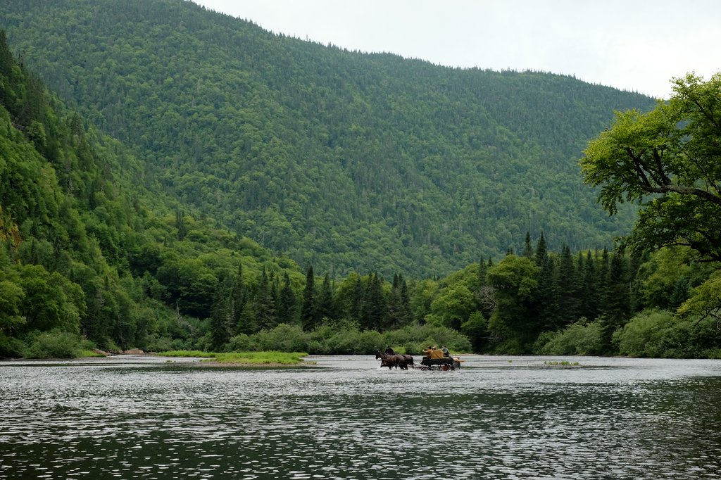 Photo du film Pieds nus dans l'aube
