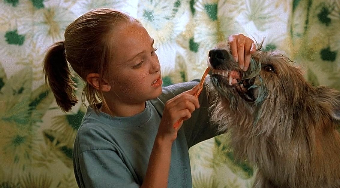 Photo du film Winn-Dixie v.f.