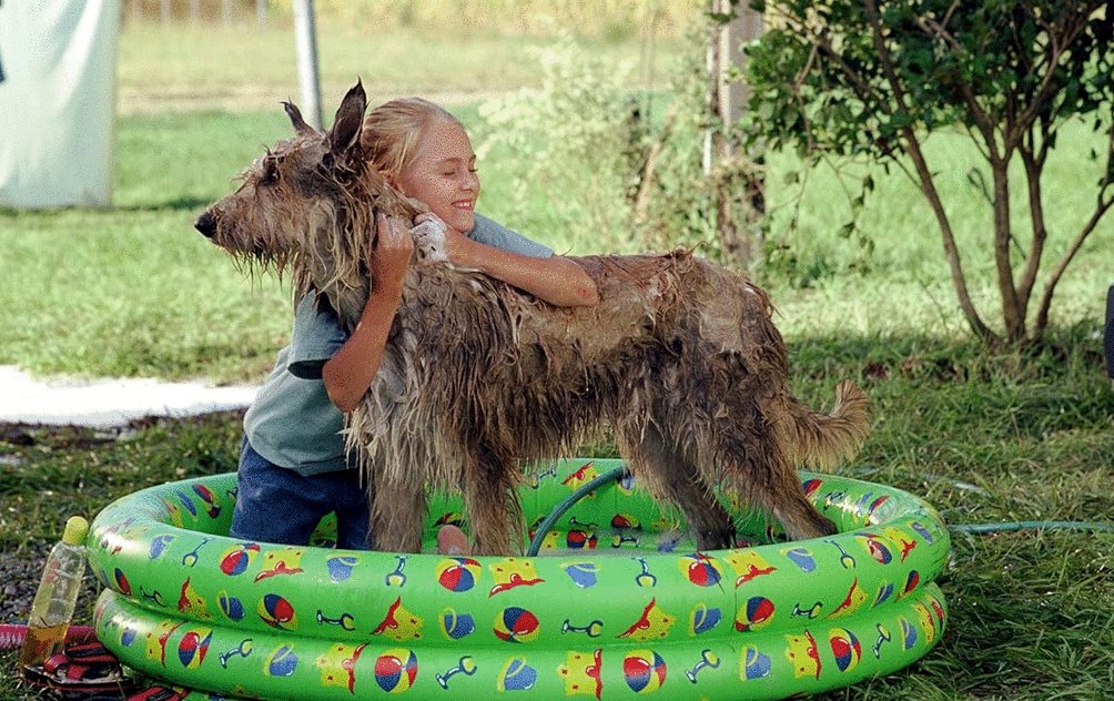 Photo du film Winn-Dixie v.f.