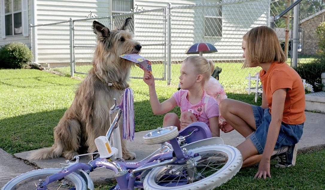 Photo du film Winn-Dixie v.f.