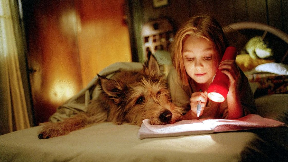 Photo du film Winn-Dixie v.f.