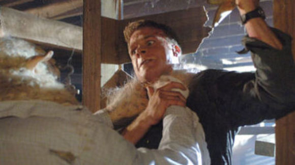 Photo du film Black Sheep