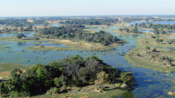Photo from the movie Disneynature: Earth