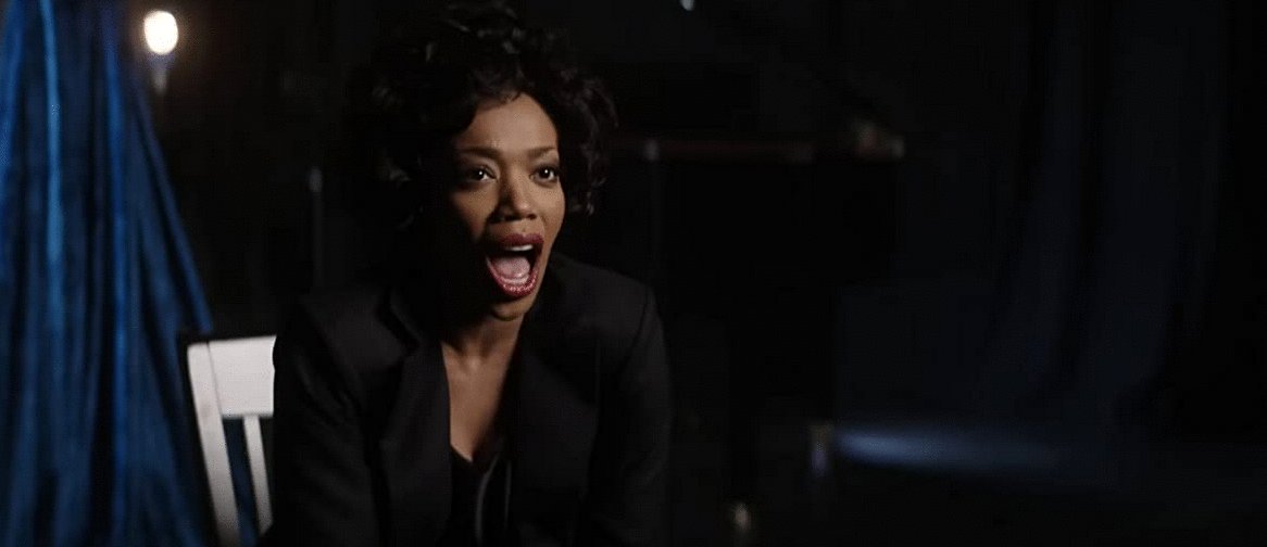 Photo du film I Wanna Dance with Somebody v.f.