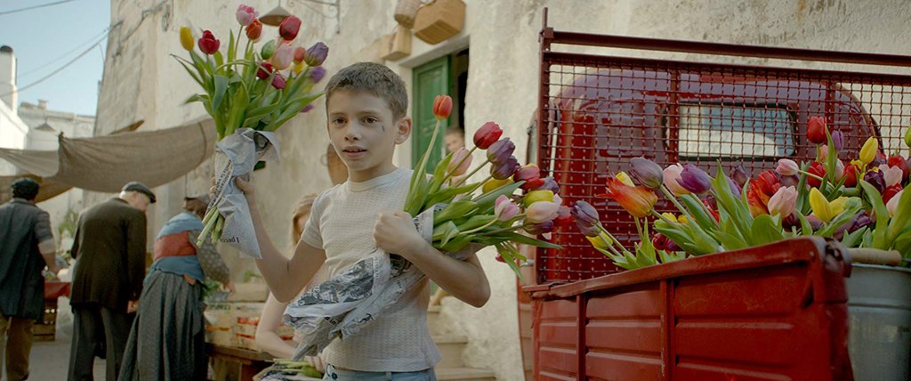 Photo du film Tulipani: Love, Honour and a Bicycle