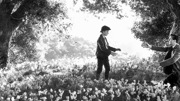 Photo du film Qu'elle était verte ma vallée