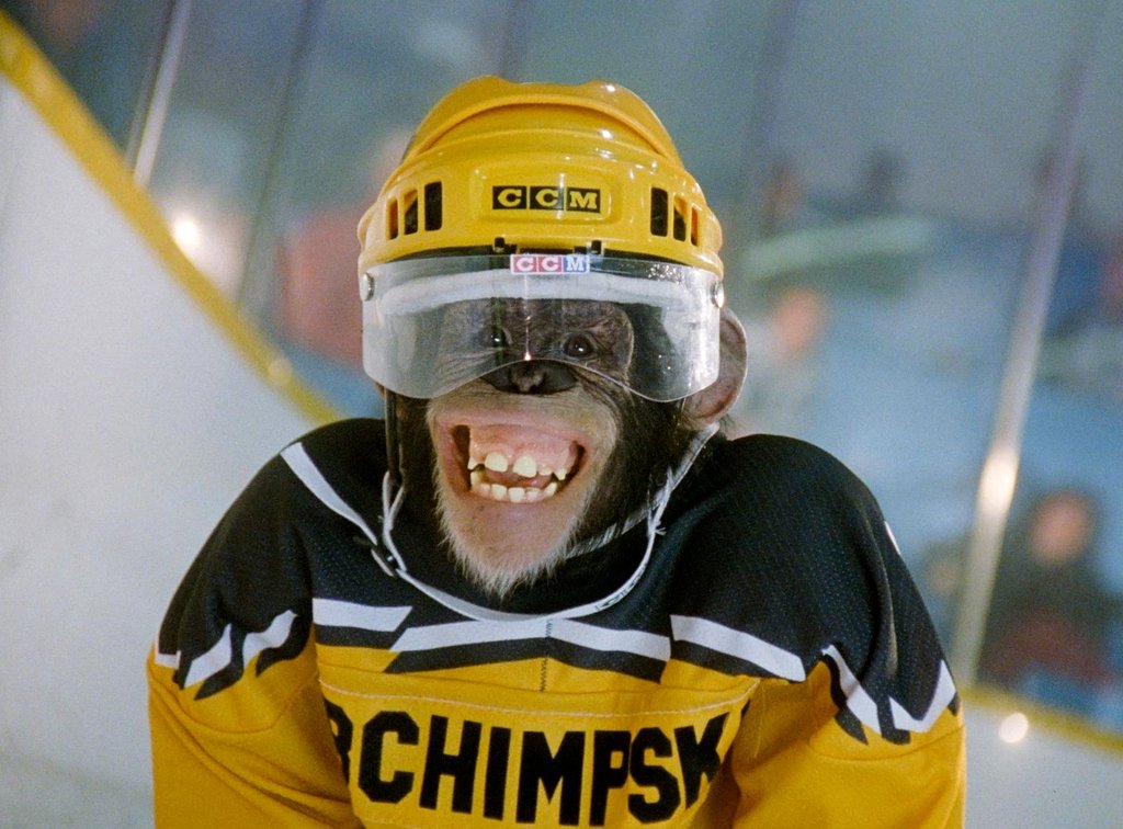 Photo from the movie MVP: Most Valuable Primate
