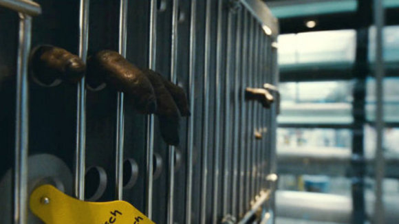 Photo from the movie Rise of the Planet of the Apes