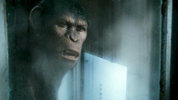 Photo from the movie Rise of the Planet of the Apes