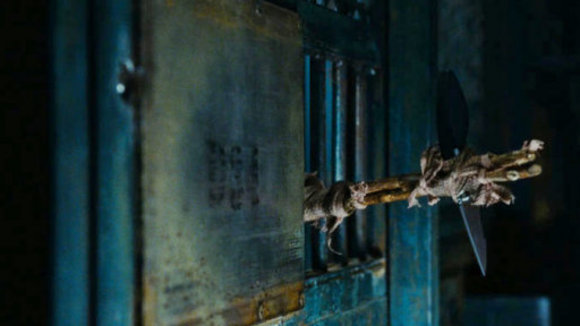 Photo from the movie Rise of the Planet of the Apes