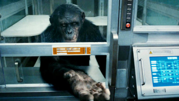 Photo from the movie Rise of the Planet of the Apes