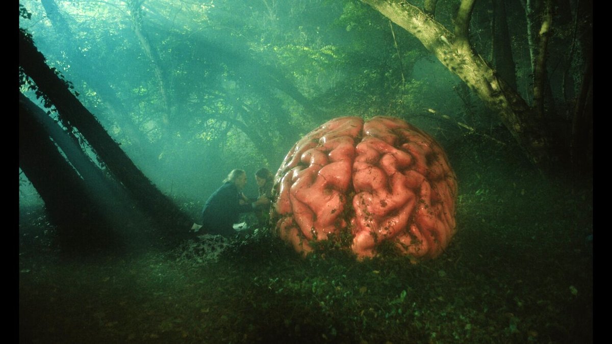 Photo du film Rumours